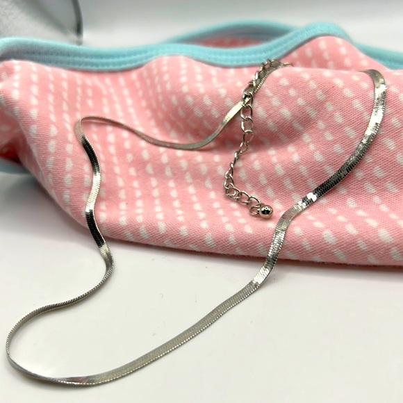 NWT Silver Colored Herringbone Necklace - Picture 1 of 2